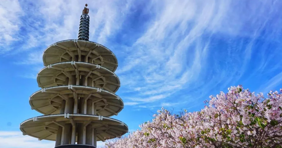 Explore San Francisco in 48 Hours: Top Attractions, Food & Experiences